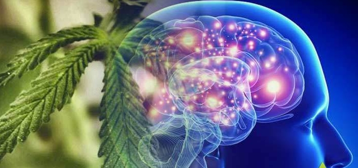 Seizures